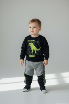 Conjunto Infantil Moletom Dino Rock - TAM01